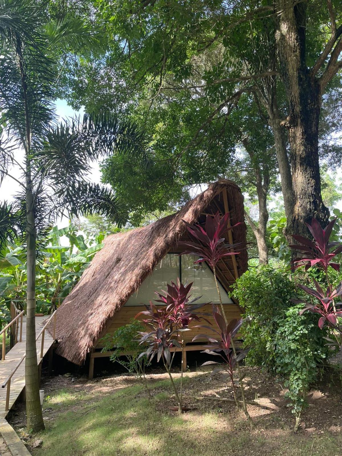 La Bonita Luxury Ecohotel Sahagun Ngoại thất bức ảnh