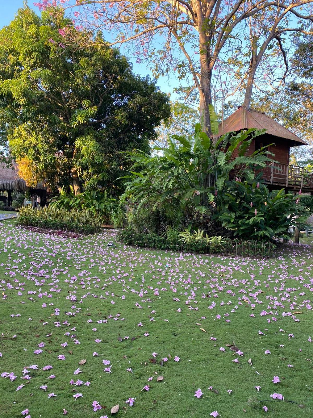 La Bonita Luxury Ecohotel Sahagun Ngoại thất bức ảnh